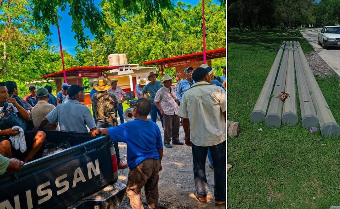 Los inconformes afirman que el funcionario pretende cobrar 20 mil pesos por cada árbol derribado dentro de sus predios, lo cual frena el fortalecimiento de la red eléctrica I Foto: Especial