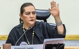 INE difunde renuncia de Taddei; decisión busca proteger al Instituto, afirma 
