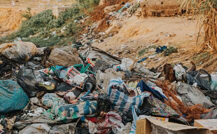 Multas para quienes tiren basura en la vía pública entrarán en vigor en Pachuca