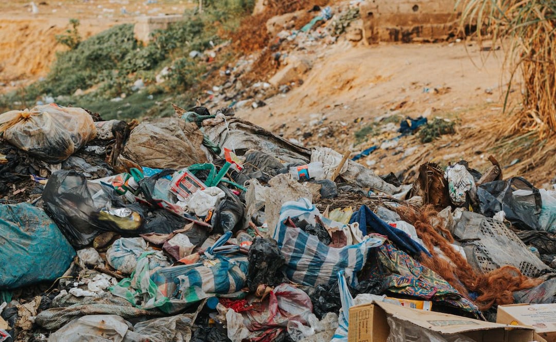 Jorge Reyes acompañará personalmente las rutas de recolección de desechos para constatar que las unidades sí pasan a las colonias | Foto: Pexels