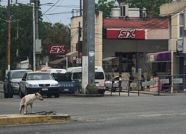 Provoca caos una base de ruta  en Huejutla