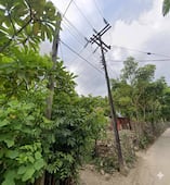 Tormenta deja a oscuras a la huasteca; vecinos retienen a personal de la CFE 