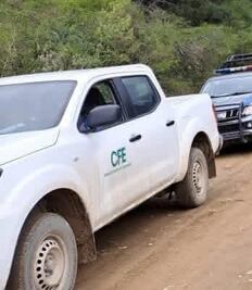 Exhortan a CFE condonar el 100% del pago de luz a damnificados de 28 municipios