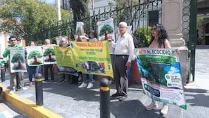 Protestan en presidencia de Pachuca para evitar tala de árboles de más de 60 años