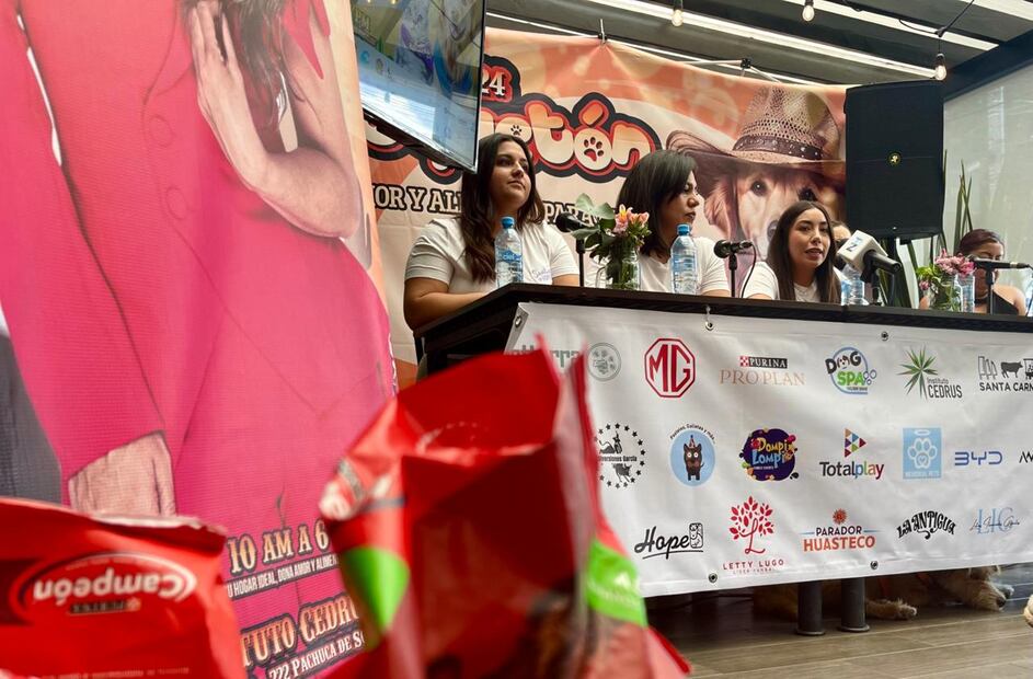 Foto: Marco Carrillo