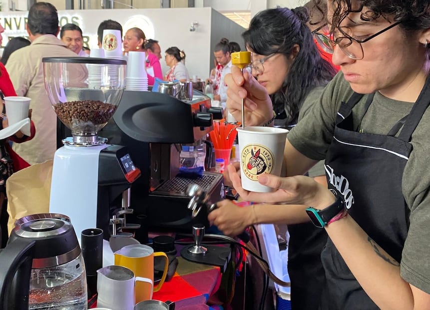 Hidalgo ya tiene el Día de la Cafeticultora y del Cafeticultor Hidalguense | Foto: Luis Soriano
