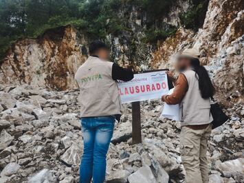 Profepa frena en Hidalgo actividades ilegales que afectan bosques y áreas naturales protegidas
