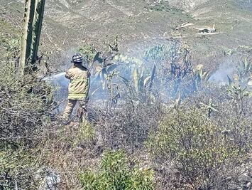 Suman al menos 130 incendios en Ixmiquilpan y Cardonal este año