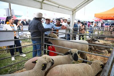 Hidalgo, líder nacional en producción de carne de pescado y maguey, destaca SADERH