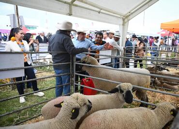 Hidalgo, líder nacional en producción de carne de pescado y maguey, destaca SADERH