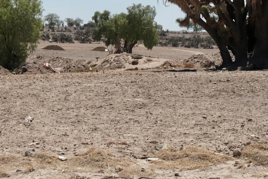 El 90% de las unidades agrícolas de Hidalgo registró pérdidas por sequía | Foto: Luis Soriano