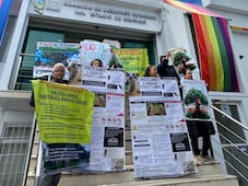 Vecinos de Pachuca acuden a CDHEH para frenar tala de árboles; organismo inicia queja 