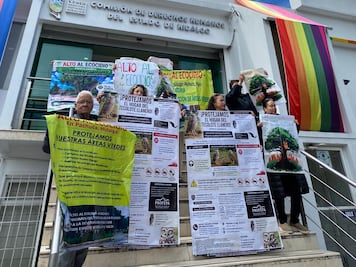 Vecinos de Pachuca acuden a CDHEH para frenar tala de árboles; organismo inicia queja 