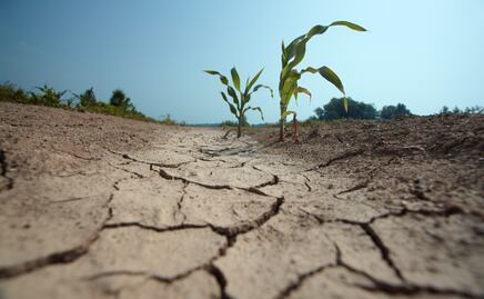 Municipios de la huasteca se encuentran en sequía extrema: Conagua