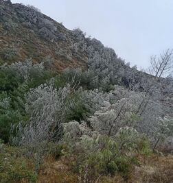 Heladas cubren municipios de Hidalgo durante fría mañana de domingo