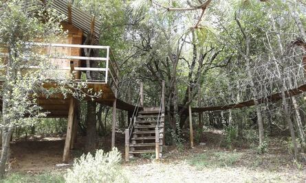 Una experiencia para los sentidos en Real del Monte; explora el Parque Sensorial Jardines y Puentes Colgantes