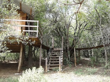 Una experiencia para los sentidos en Real del Monte; explora el Parque Sensorial Jardines y Puentes Colgantes