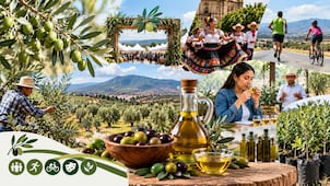El Olivo prepara su Expo Oliva en Ixmiquilpan