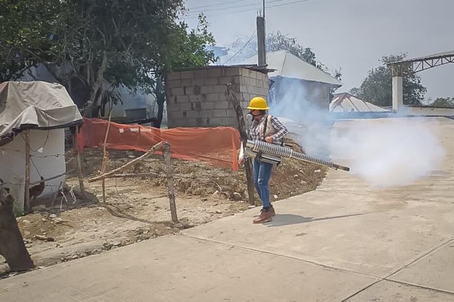 Huejutla lidera con 531 casos de dengue en la Huasteca; refuerzan fumigaciones y acciones preventivas | Foto: Especial