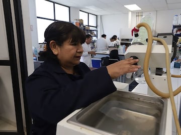 Científica de la UAEH transforma lirio acuático en alternativa biodegradable al plástico