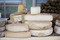 Investigación de la UAEH busca prolongar la vida útil del queso de cabra de Apan