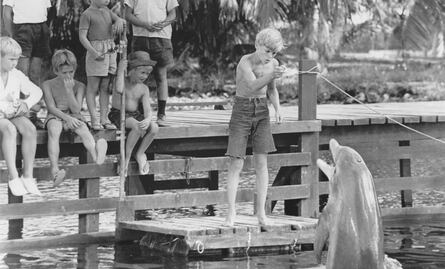 Animales actores que se ganaron el corazón del público