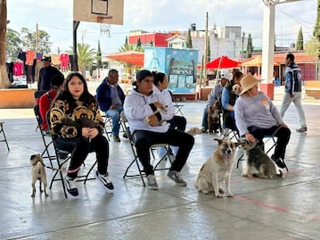 Arranca vacunación antirrábica en Hidalgo; buscan proteger a más de 289 mil mascotas en una semana