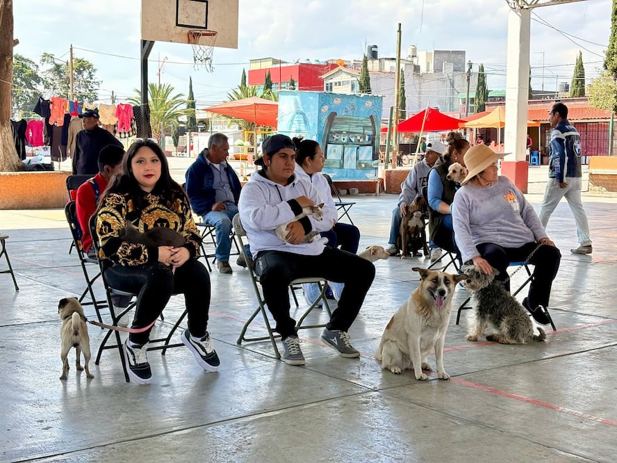 ¡Es momento de proteger a tus mascotas! Foto: SSH