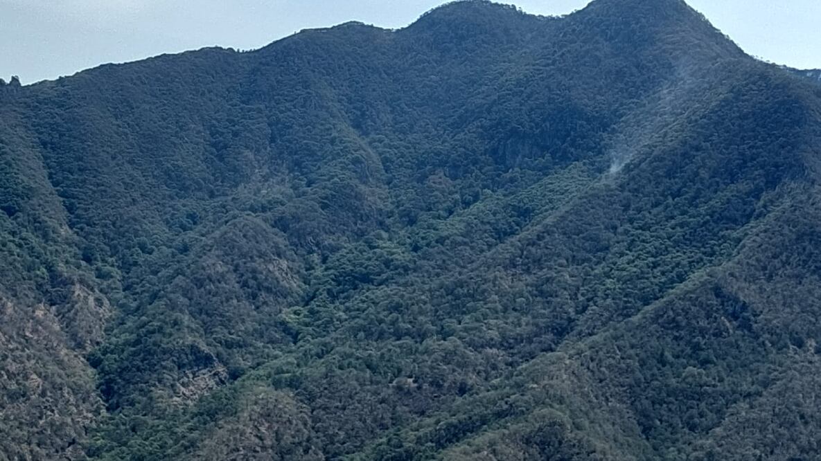 Hidalgo ocupa el lugar 10 a nivel nacional con mayor número de incendios | Foto: Especial