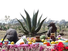 Jardín de Mayahuel celebrará 10 años con música, tradición y cultura del pulque