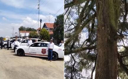 Retiran más de 60 anuncios ilegales en la carretera a Mineral del Chico