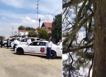 Retiran más de 60 anuncios ilegales en la carretera a Mineral del Chico
