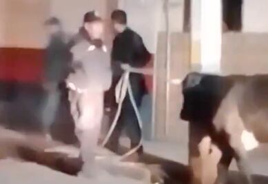 Video: ¡Olé! Toro escapa y recorre calles de Pachuca