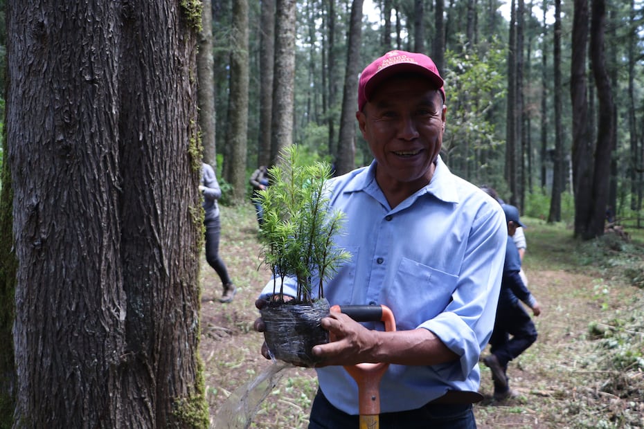 Inició la reforestación del parque nacional El Chico I Foto: Especial