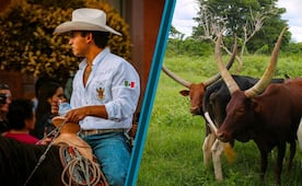 Expo Feria Ganadera 2026 abre espacios para productores y comerciantes en Pachuca