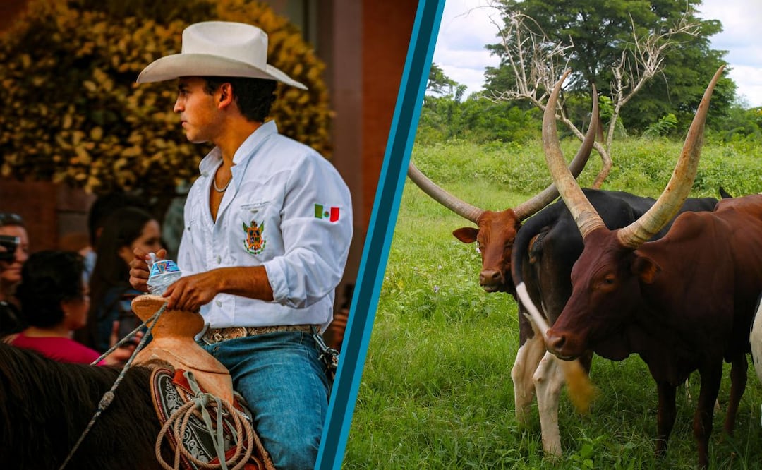 Consulta requisitos y asegura tu lugar | Fotos: Pexels