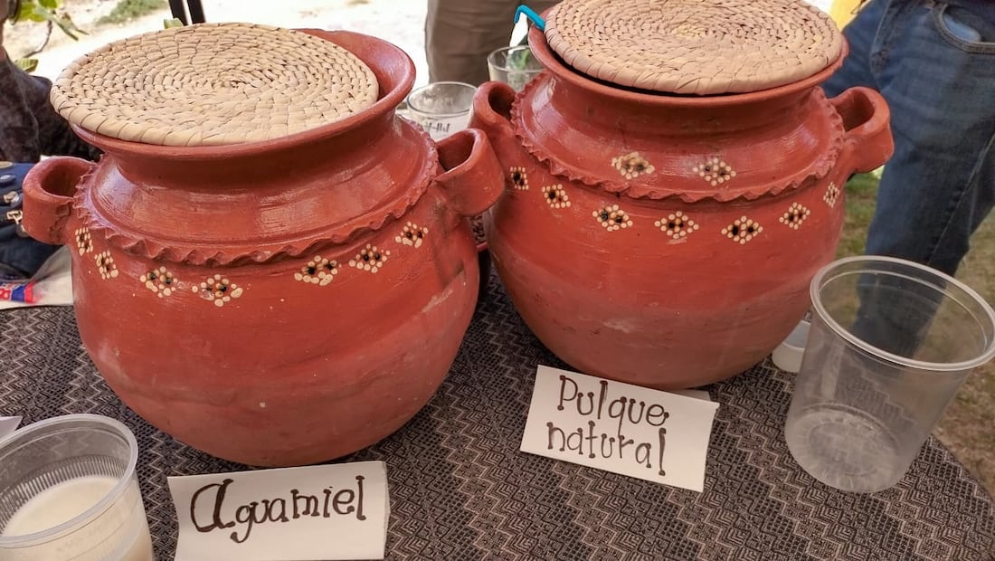 Hidalgo, cuna del pulque: tradición viva entre magueyes y sabores ancestrales | Facebook: Rancho la Gaspareña