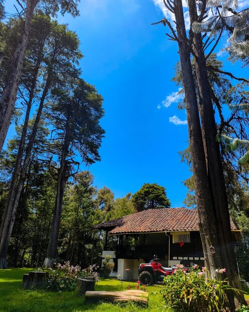 ¿Buscas una escapada cerca de Pachuca? Facebook: Hotel Bosque de los sueños Glamping & Resort