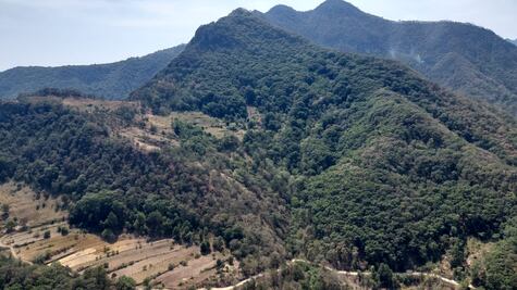 Logran control al 100% de incendio en Nicolás Flores