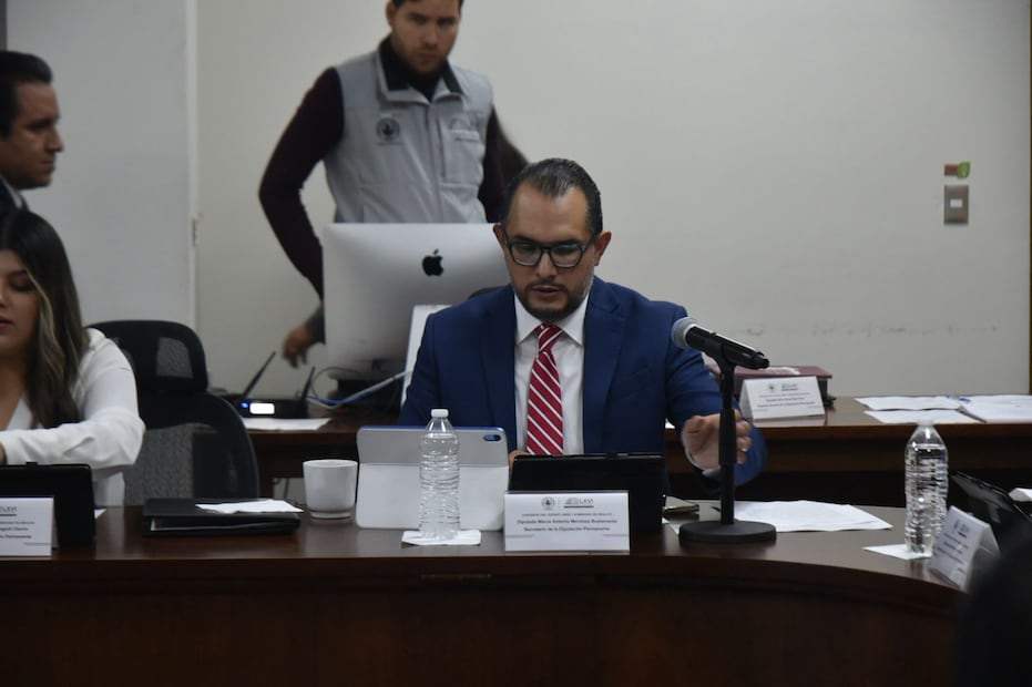 Proponen legalizar la adopción comunitaria de perros y gatos en Hidalgo | Twitter: LXVI Legislatura de Hidalgo