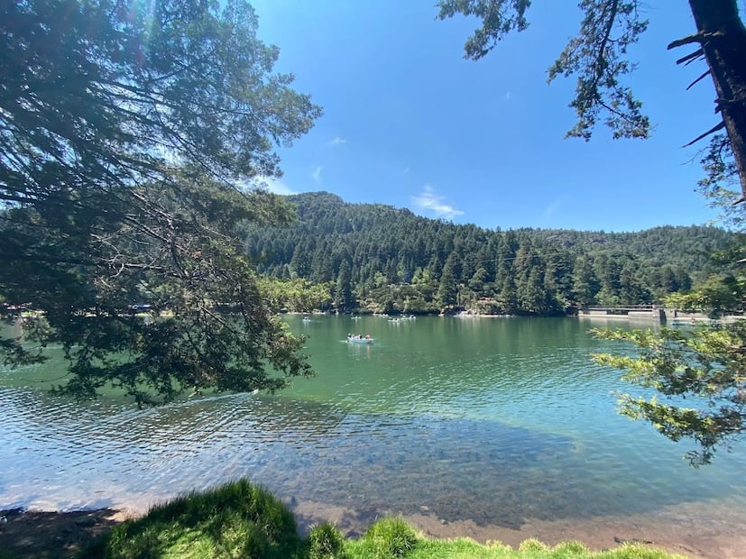 El Cedral: descanso y aventura al borde del bosque | Foto: Geoparque Comarca Minera Hidalgo