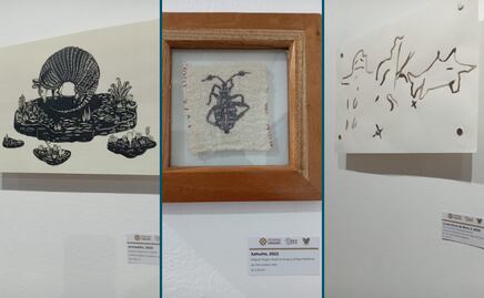 Artistas locales exponen en Museo Regional de la Cultura Hñähñu
