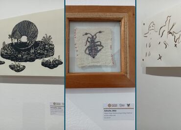 Artistas locales exponen en Museo Regional de la Cultura Hñähñu