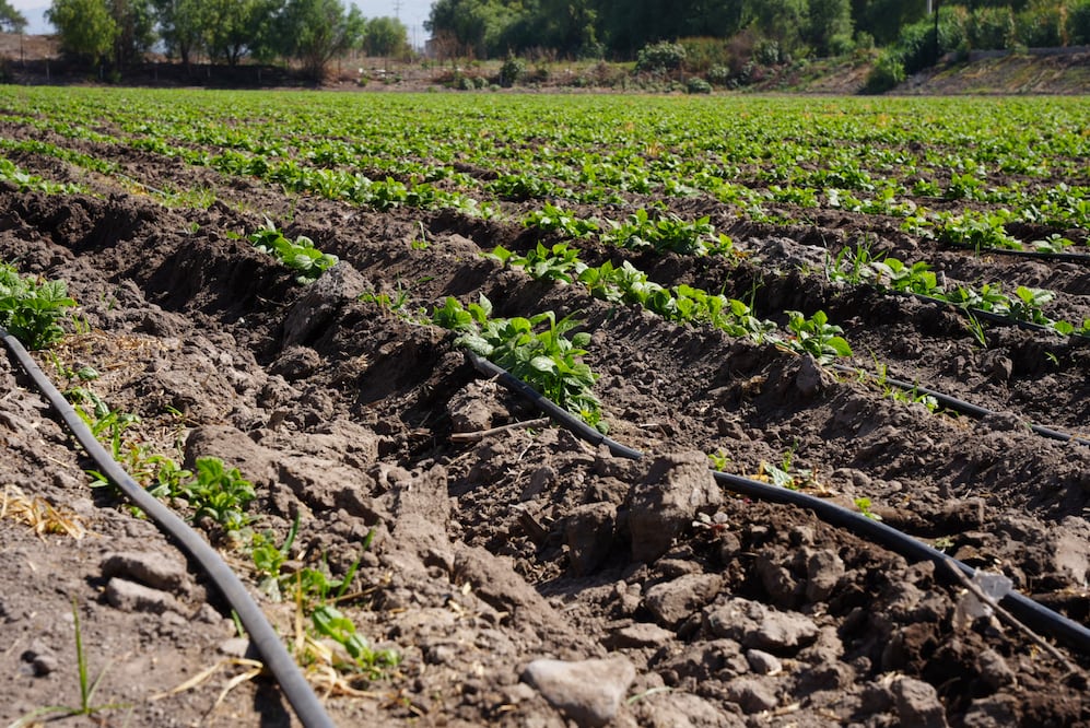 Foto: Planeación Hidalgo