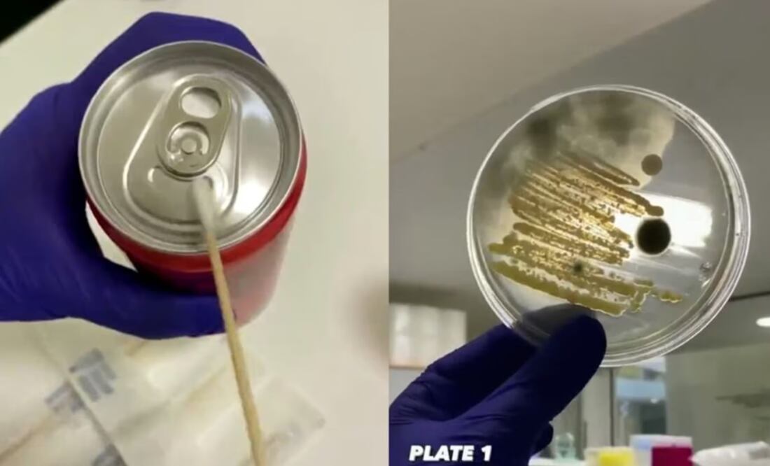 El video de las bacterias evidenció cuál es la mejor manera de limpiar las latas de refresco | Captura de video