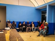 Refuerzan acciones por casos de gusano barrenador en ocho municipios