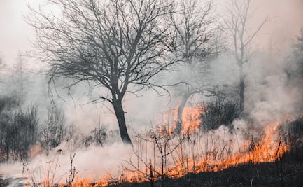 Incendios forestales en Hidalgo aumentan más del 100 % en 2024