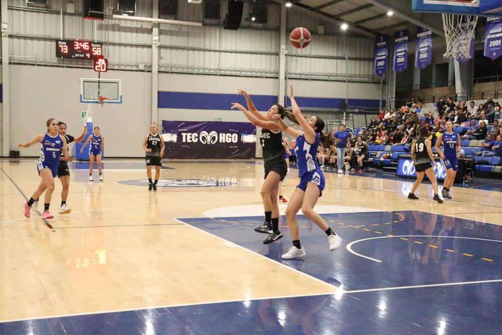 Las borregas del Tecnológico de Monterrey Foto: Carlos Jurado