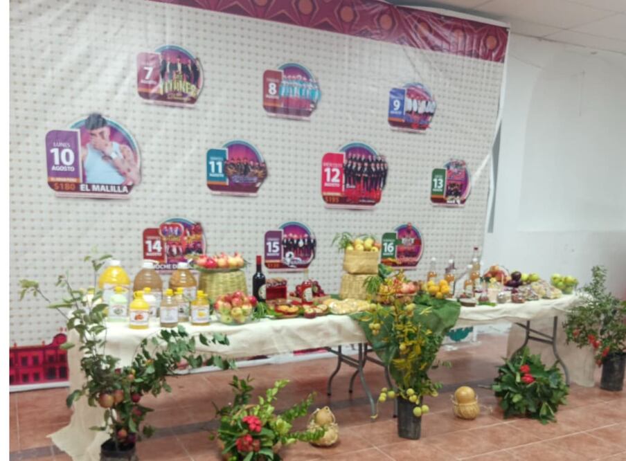 Feria de la Fruta Ixmiquilpan se realizará este fin de semana I 
Foto Erika Gutiérrez
