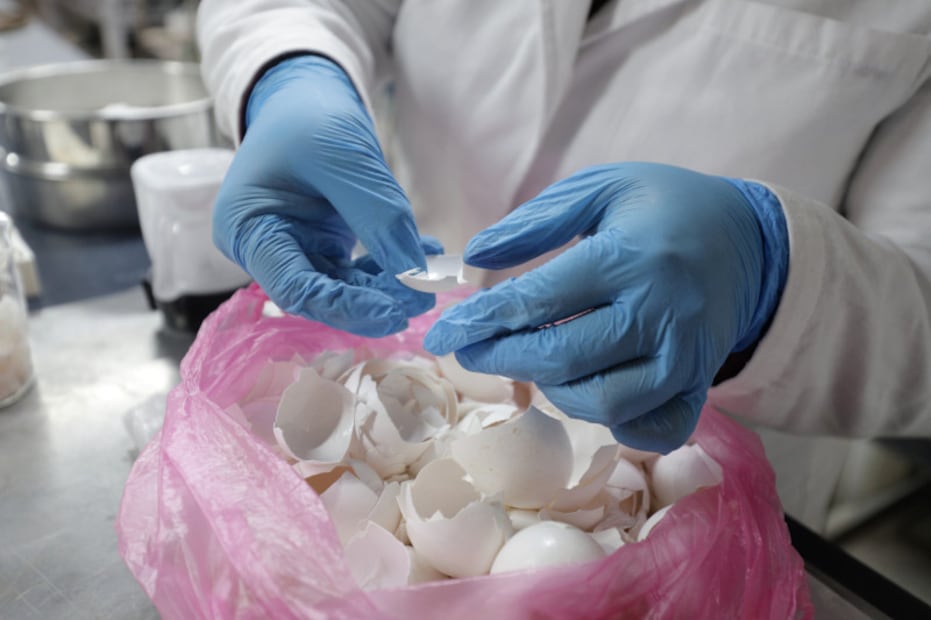 De residuo a biomaterial, doctorante de la UAEH busca obtener hidroxiapatita a partir de cáscaras de huevo | Foto: UAEH